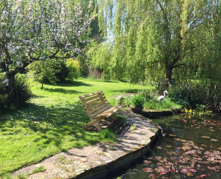 Lunch by the pond perhaps?