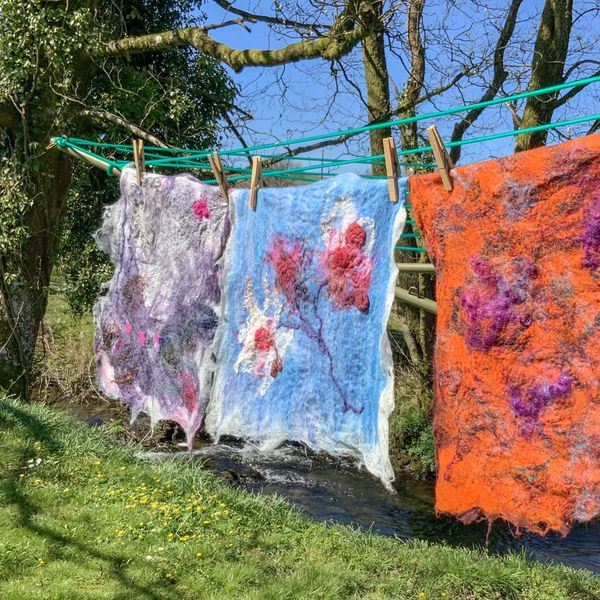 Samplers drying in the sunshine