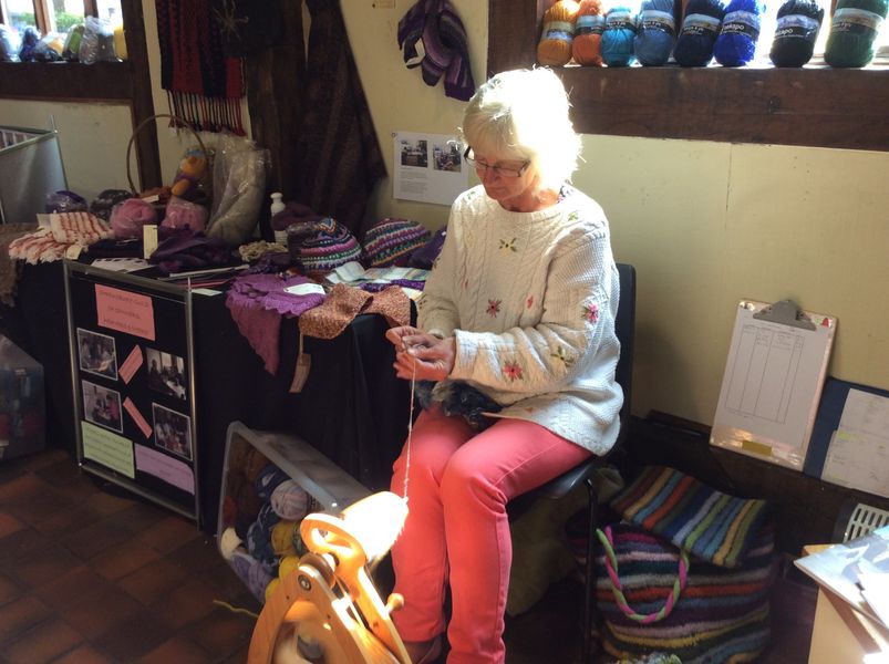 Fiona spinning on her Ashford Joy wheel