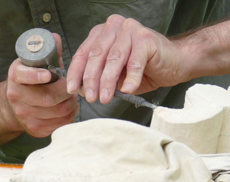 carving a seahorse
