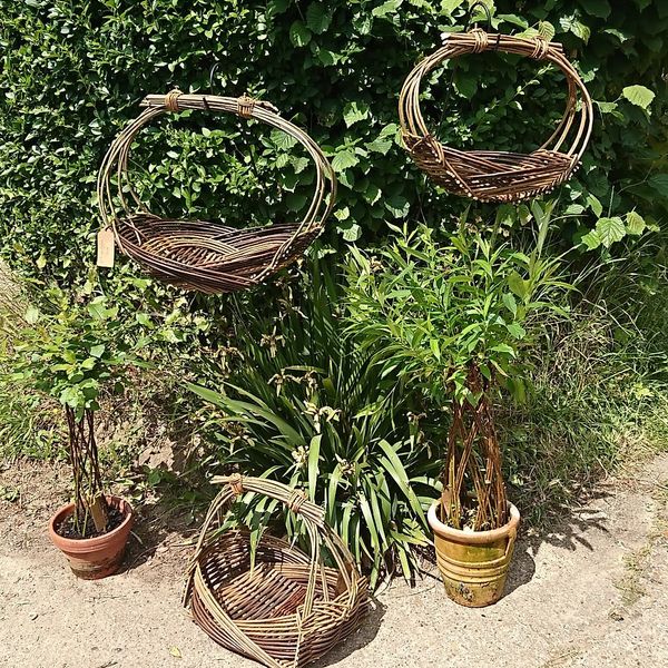 Flower and rectangular Zarzo baskets.