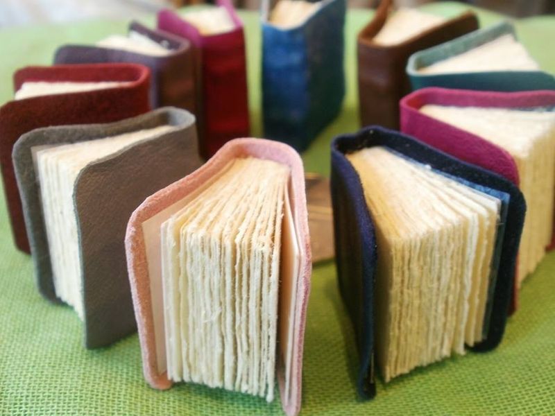 Holly Serjeant - Mini books