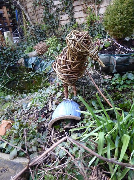 Willow woodpecker lands in my garden