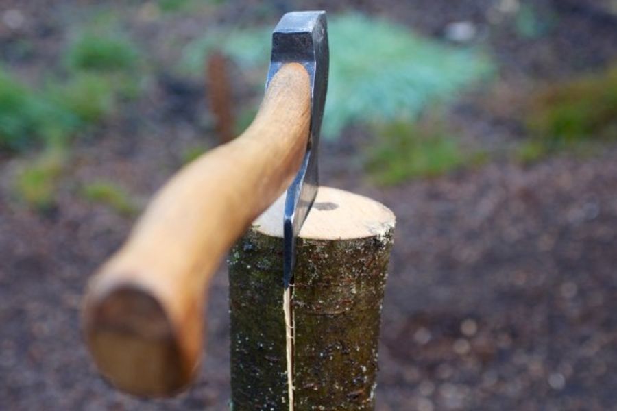 The axe is one of the main tools of the trade in spoon carving.  Work underway on Pembrokeshire spoon carving course.