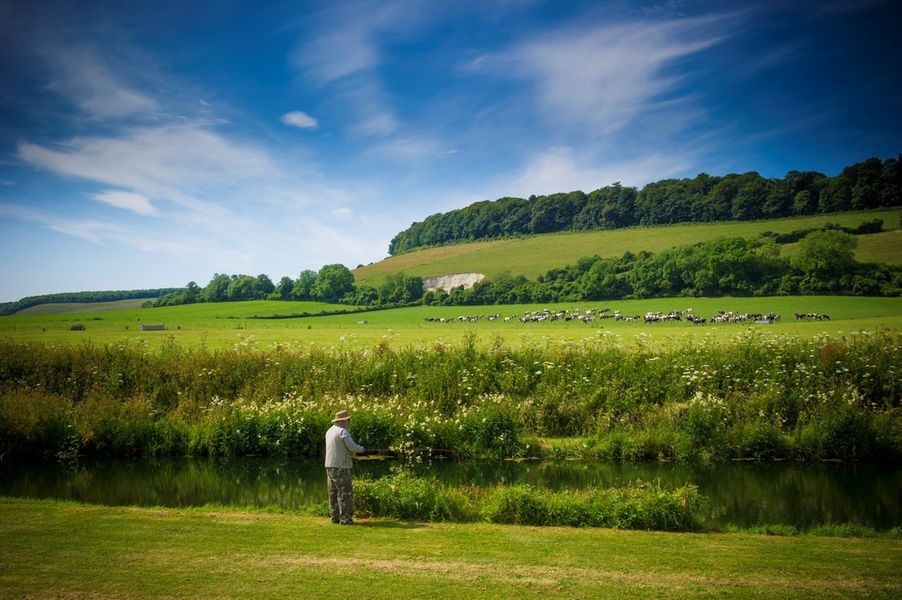 Extend your stay and try fishing on our lakes at Meon Springs.