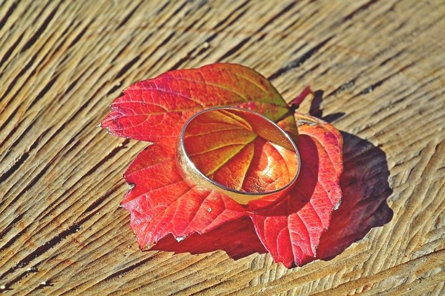 Simple Gold Band Wedding Ring in Gold