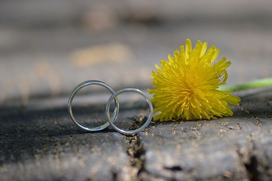 Beautiful Simple Wedding Rings in Silver