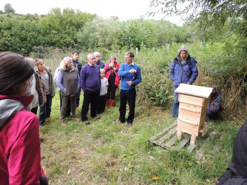 Discussing Warre People's hives with David Heaf on a BfD Course at Ragman's Farm