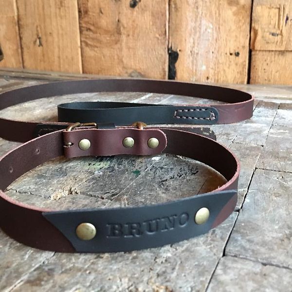 Collar and lead for Bruno the Rottweiler!