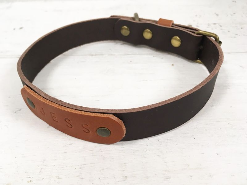 Vegtable tan leather dog collar with embossed name tag