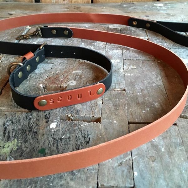Collar and lead for Scout the dog