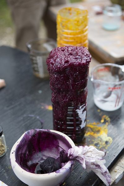 Cochineal and Buckthorn post precipitation