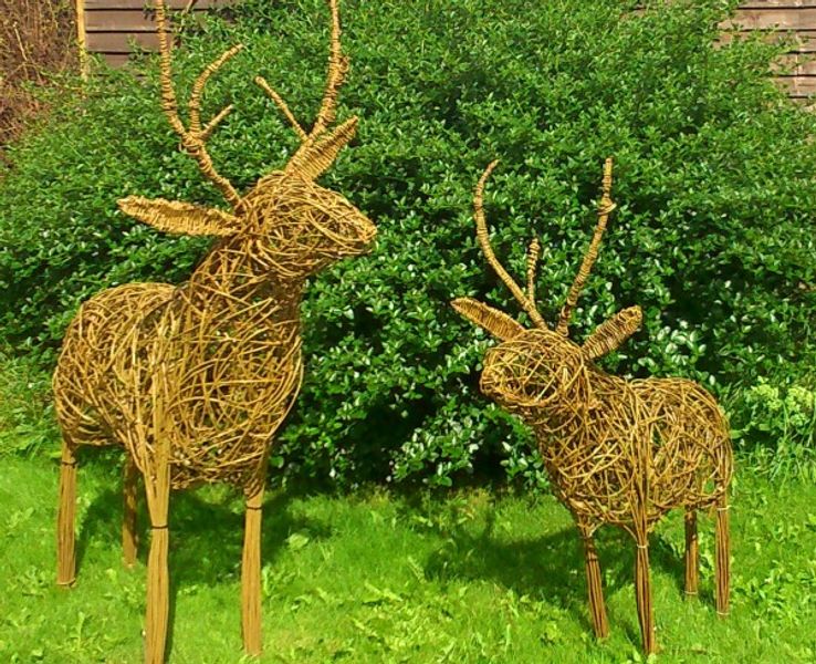 Willow Weaving Deer