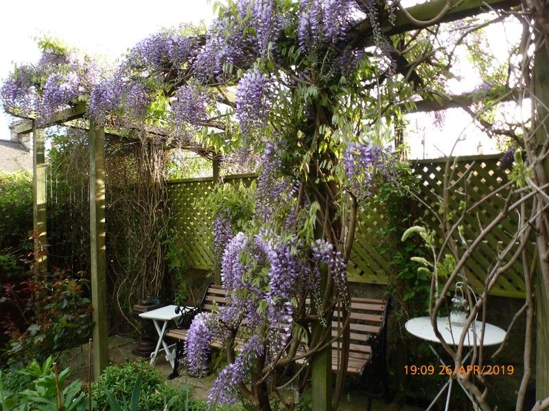 The gardens surrounding the Workshop in May