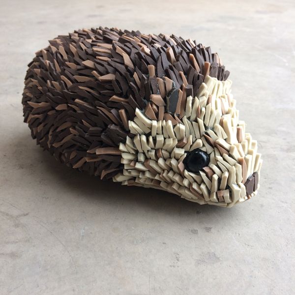 Ruth's baby hedgehog, now she's making a horse!