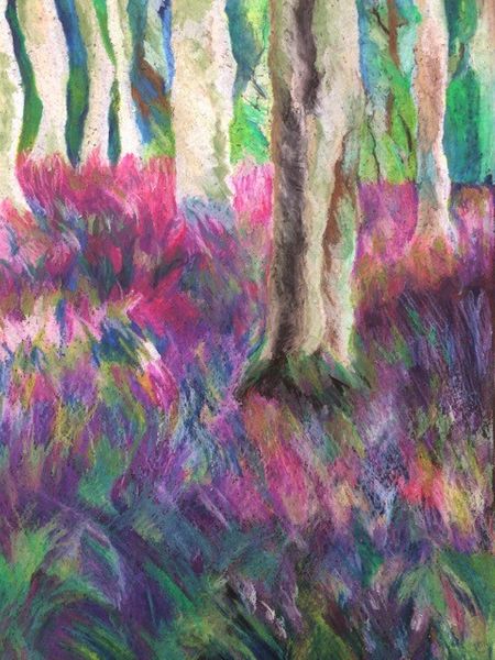 Chalk study of bluebell woods