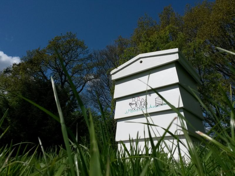 Our Apiary