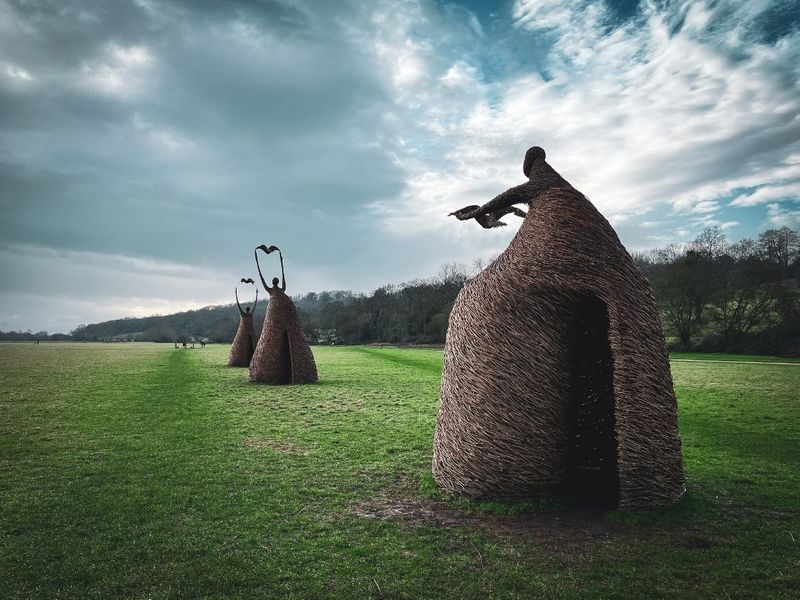 The Last Survivors - Runnymede National Trust