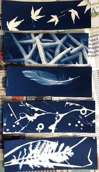 Beautiful cyanotype bookmarks by students during Angela Heron's Dorset workshop