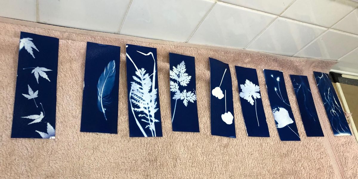 Cyanotype bookmarks from Dorset workshop