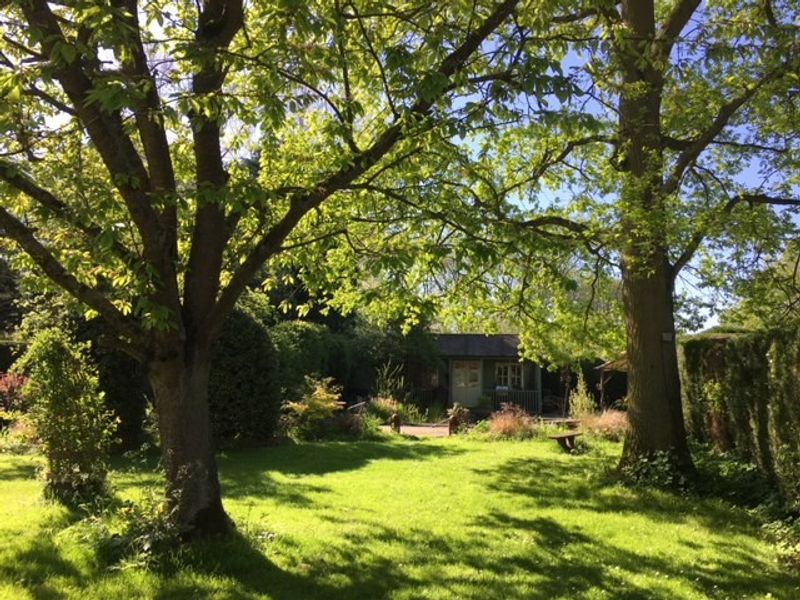 Garden between cottage and studio