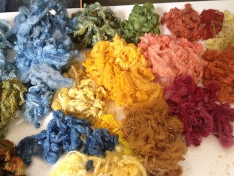 Fleece ready to card, Dyeing & Spinning course, Wild Rose Escapes, Scotland