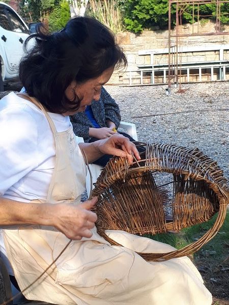 Willow Basket Weaving