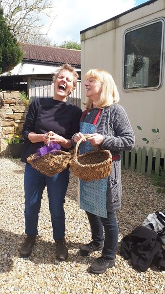 Willow Baskets - Fun