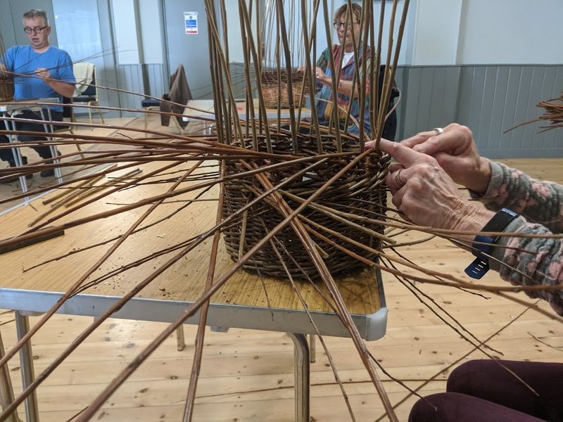 A willow basket in the making