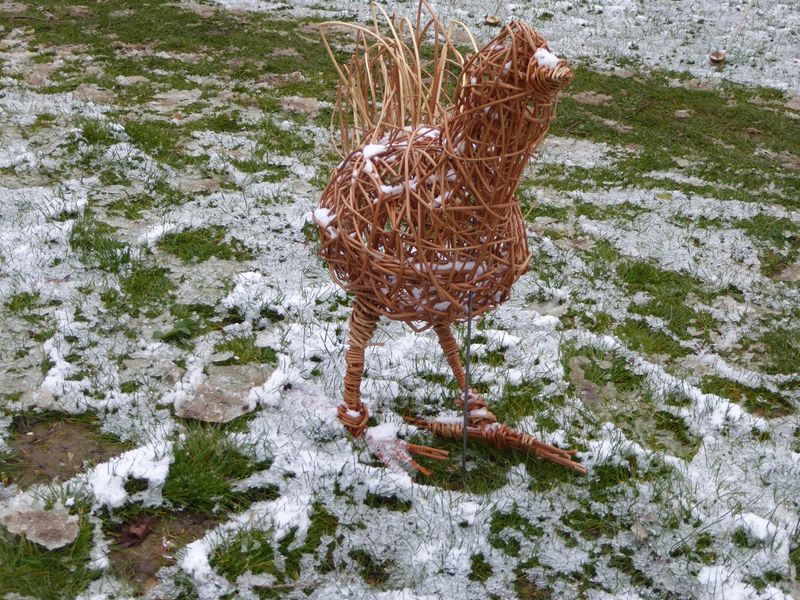 willow chicken in the snow
