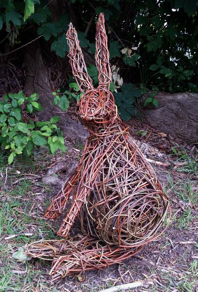 Willow hare