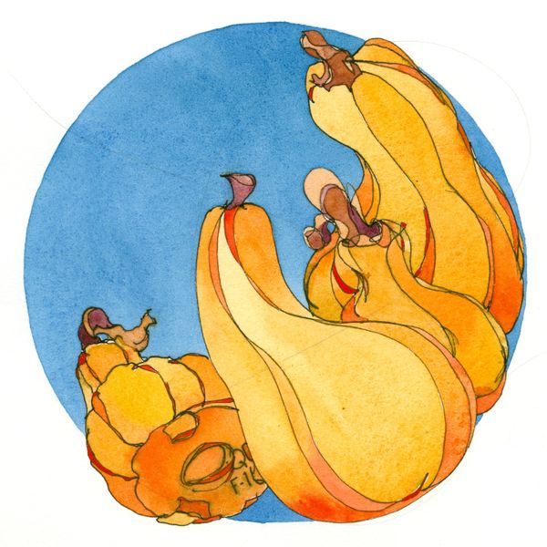 Autumn Gourds Salt and Pepper Shakers Dala Art - Chris Carter Artist - Ink and Watercolour
