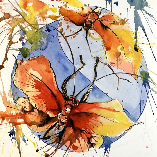 Insects - Papillons - Dala Art - Paris, France - Chris Carter Artist - Ink and Watercolour