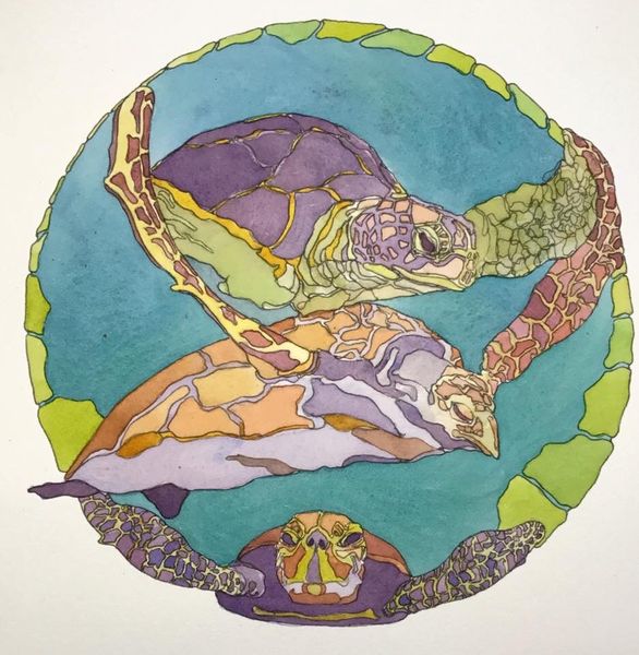 Swimming with Giant Turtles Dala Art, Maui, Hawaii - Chris Carter Artist - Ink and Watercolour