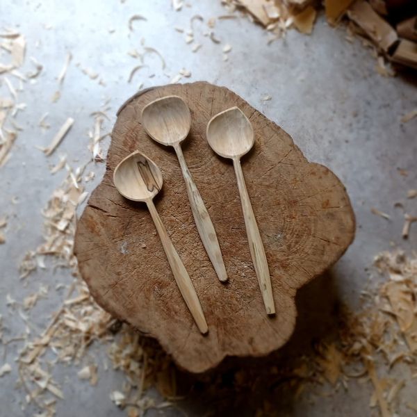 Sycamore cooking spoons