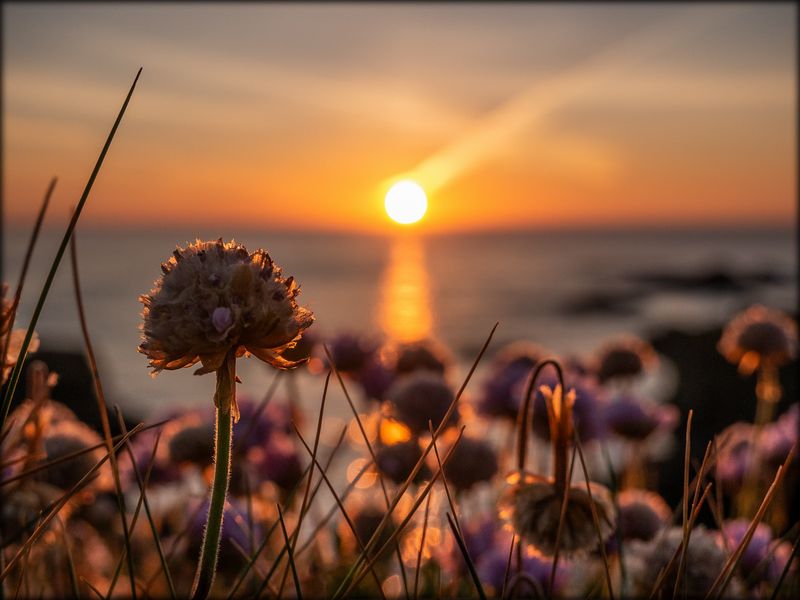 Orkney sunset.