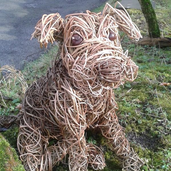 Willow terrier by Emma Parkins