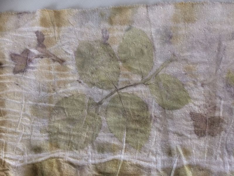 Ecodyeing: Rose print on silk