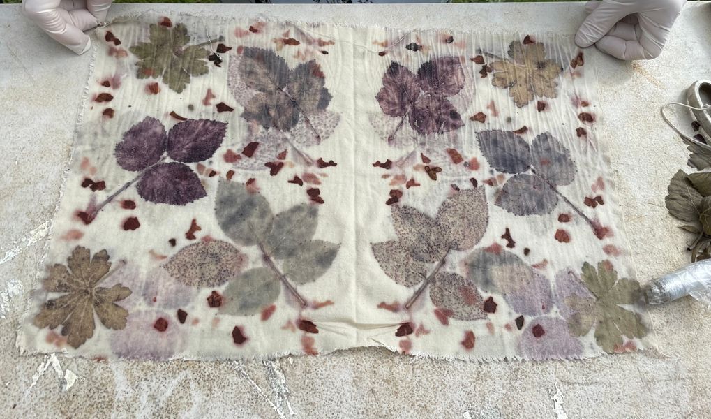 Rose, red onion, Geranium  and Blackberry leaves on Silk Noil

