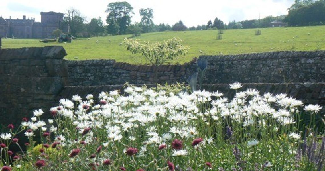 View from the Greystoke Craft Garden Cafe Tea Garden Back Lawn 