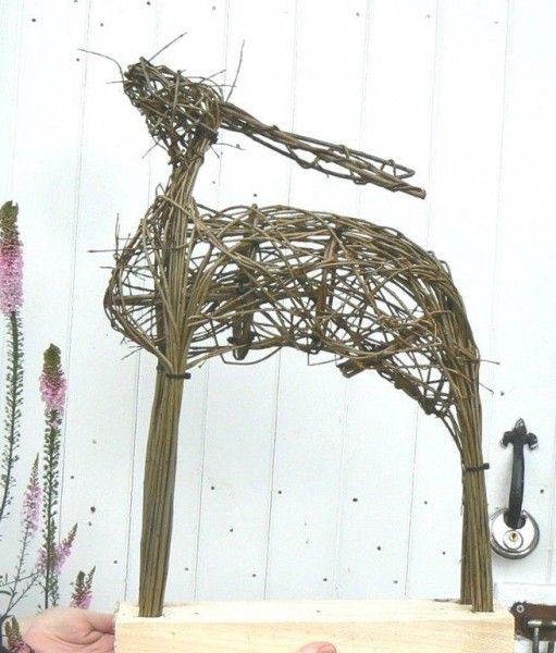 Willow hares