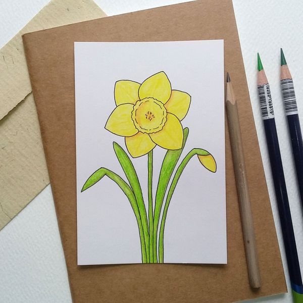 How to draw a simple daffodil