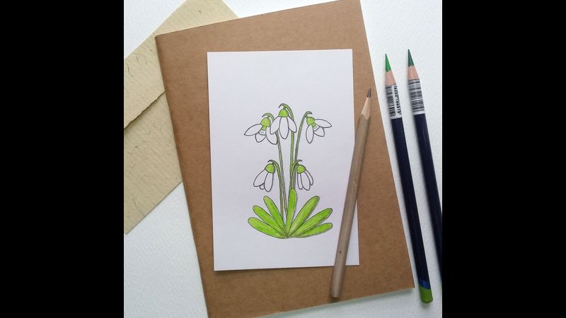 How to draw simple snowdrops