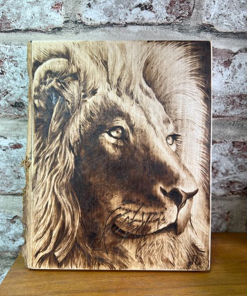 Lion By Kez