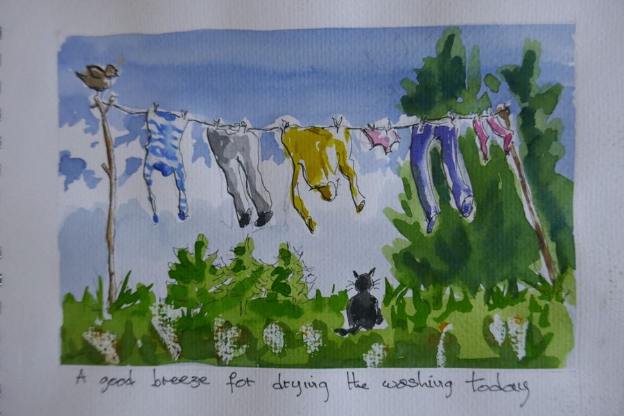 A Washing Line on a Breezy day