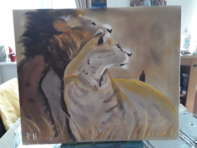 Male and female lions in oils 