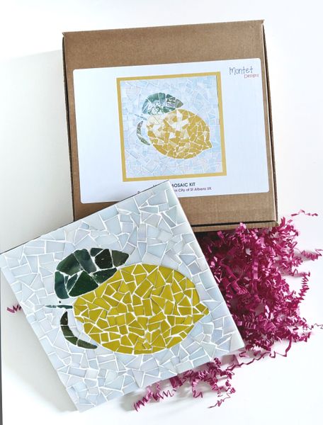 Turtle Mosaic Kit, Craft Kit, DIY Kit for Adults, Craft Kit for Kids,  Kid-friendly Craft, DIY Project, DIY Mosaic Kit, Mosaic Art 