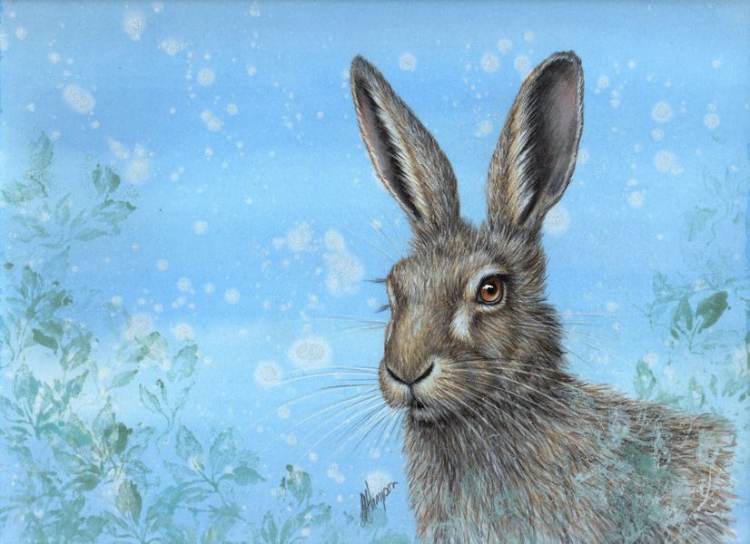 Christmas Hare in coloured pencil with Linda Hampson