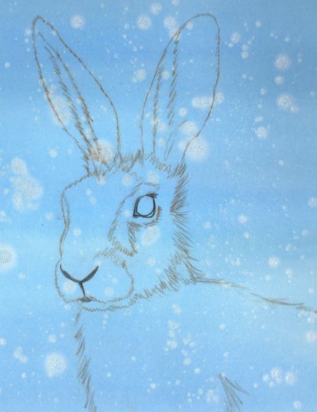 Christmas Hare Outline Drawing
