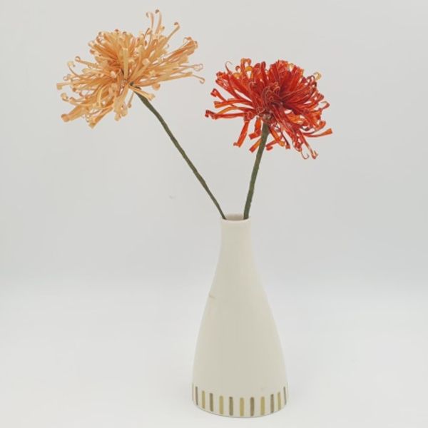 two gorgeous chrysanthemums in a vase